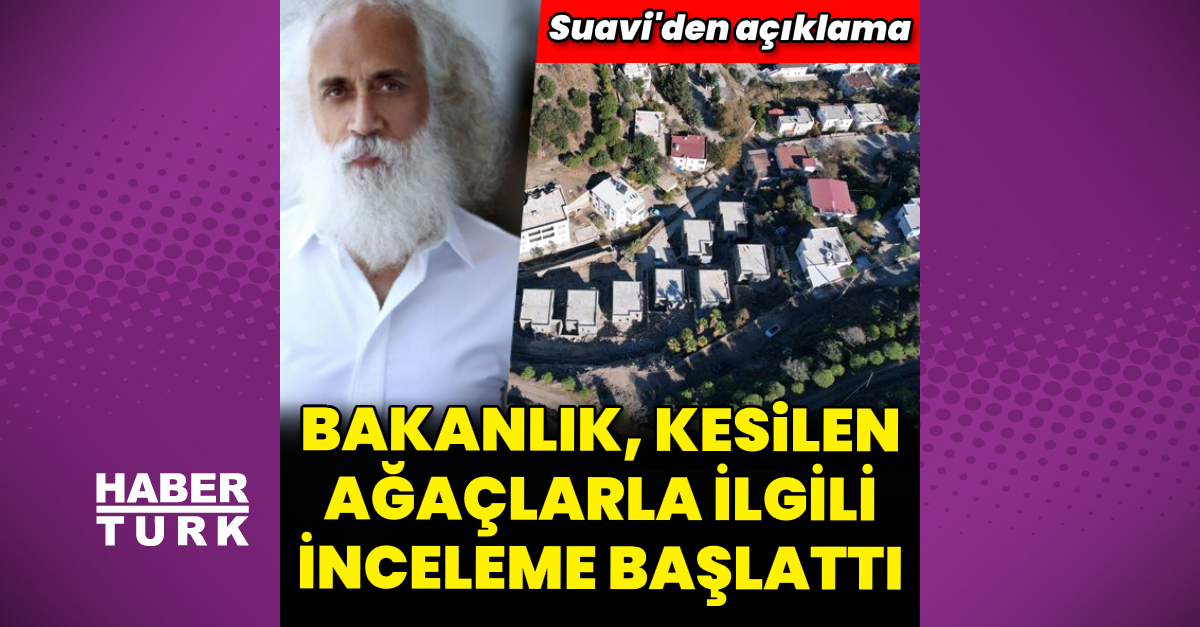 Suavi’nin, Bodrum’daki arazisinde 40 ağaç kesildi