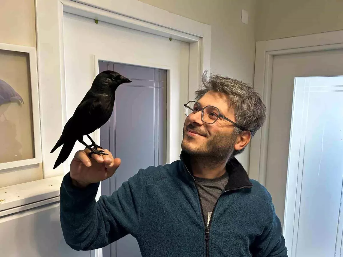 Sivas’ta Doktor ve Kargo Dostluğu