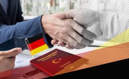 Vize Danışmanlığı