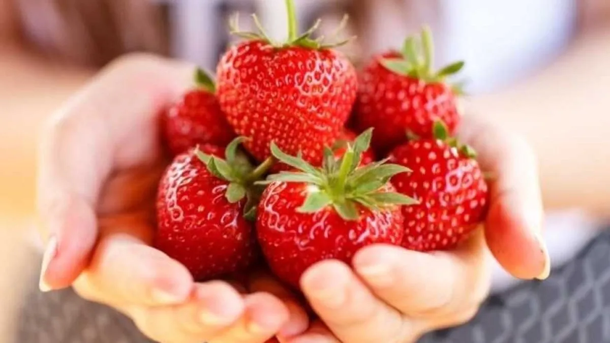 Çilek beyin ve kalp sağlığını destekliyor